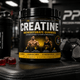 The Benefits of Creatine: One of the Most Researched Supplements Available - Precision Performance Labs